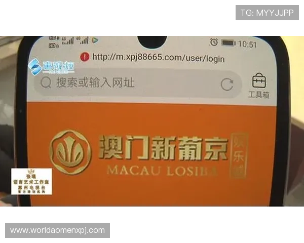 新葡京娱乐登录入口：2024年最新官方入口网址及登录流程详解